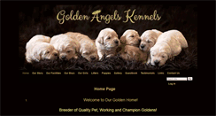 Desktop Screenshot of goldenangelskennels.com